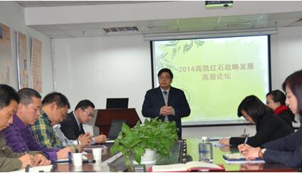 2014高凯红石战略发展高层论坛在宁成功举办