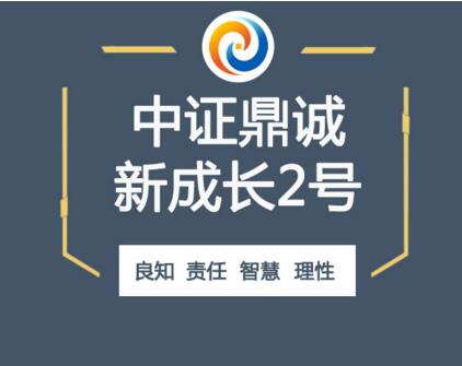 中证鼎诚新成长2号基金备案公告
