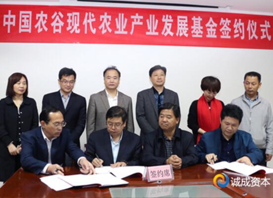 诚成资本与荆门市政府联合发起成立“中国农谷现代农业产业发展基金”